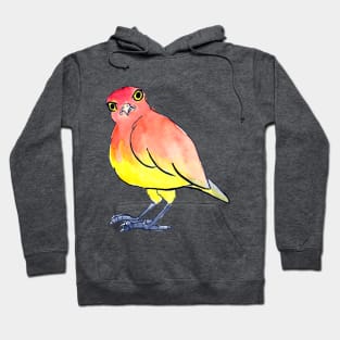 Angry birb - no text Hoodie